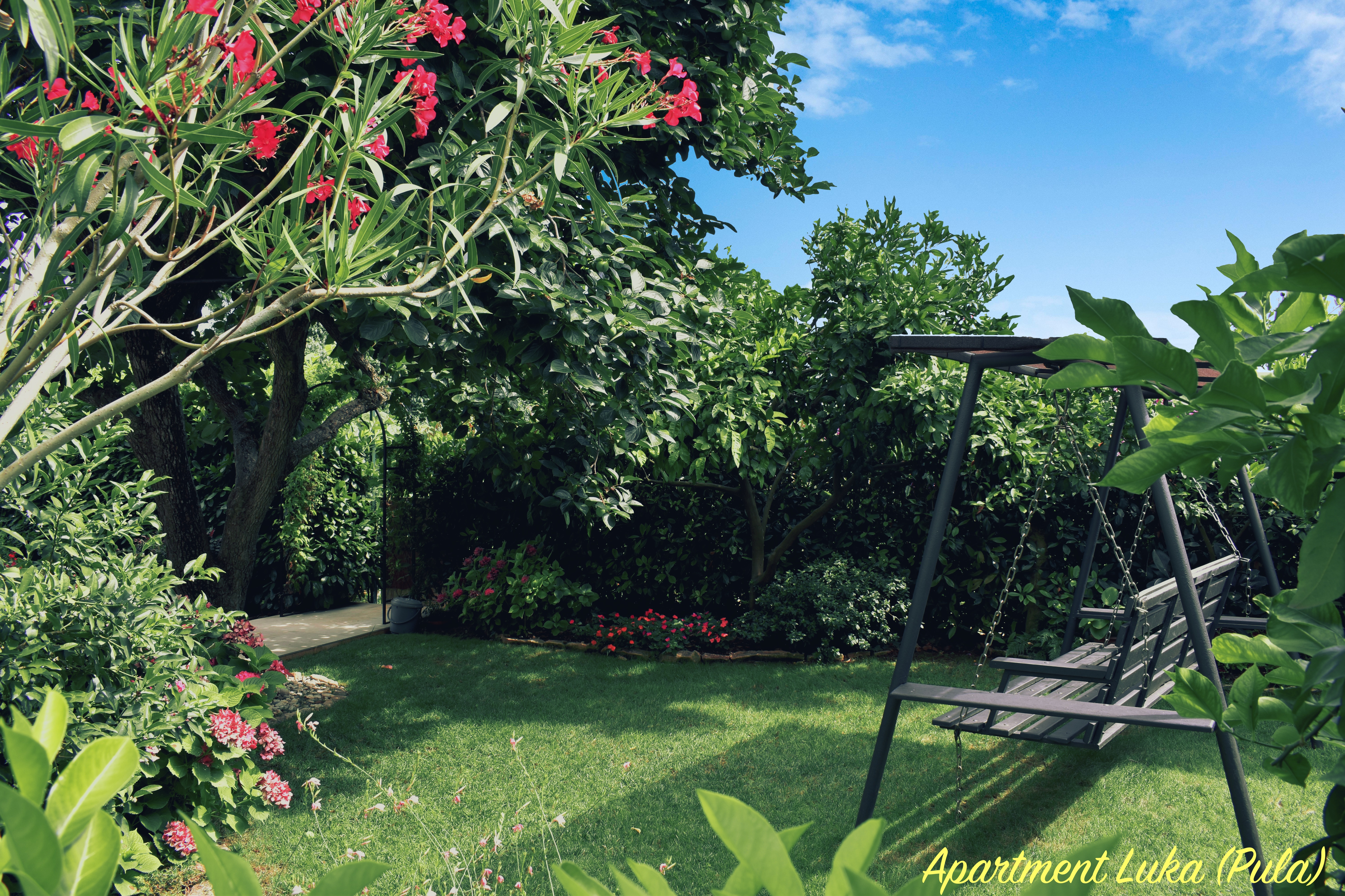 Garden swing area - great place to relax with a book